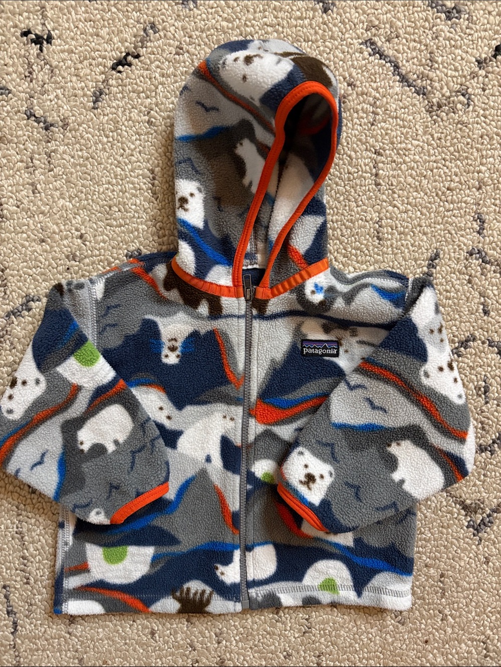 Patagonia Kids Fleece jacket (2T)